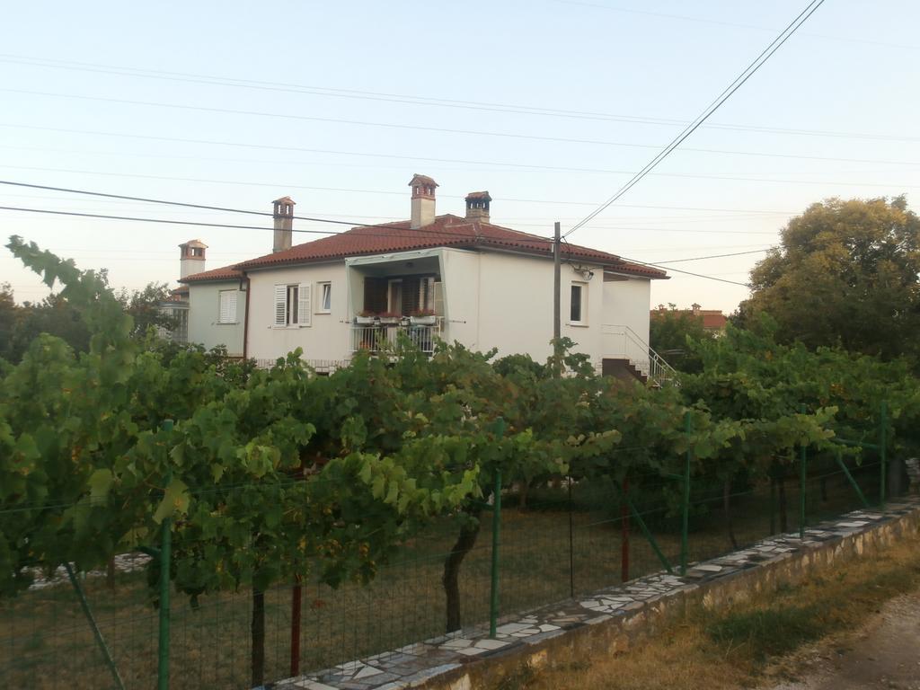 Apartment Gabi Labin  Dış mekan fotoğraf