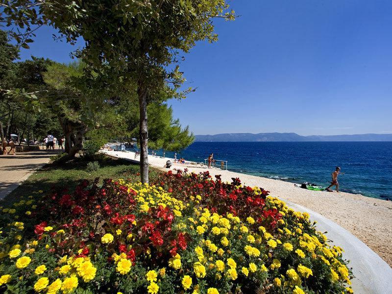 Apartment Gabi Labin  Dış mekan fotoğraf